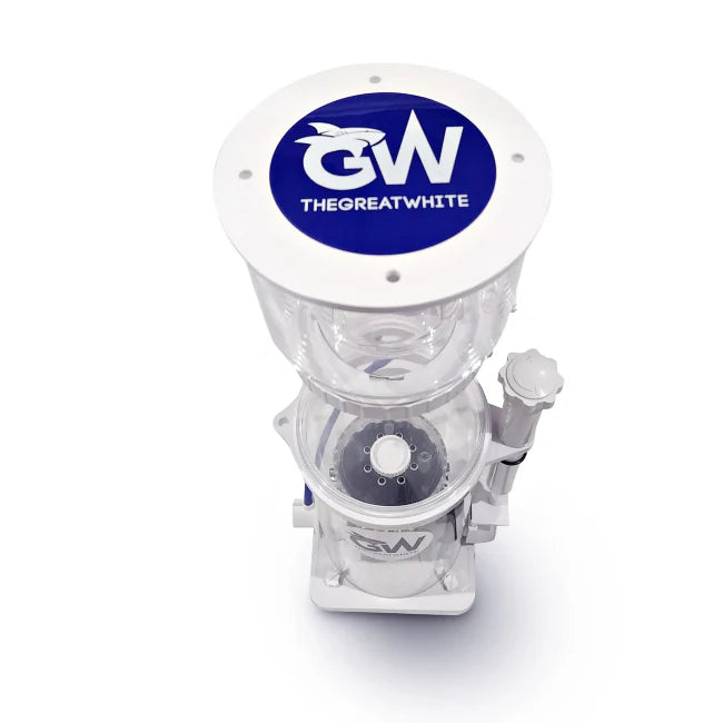 Great White DC Protein Skimmer