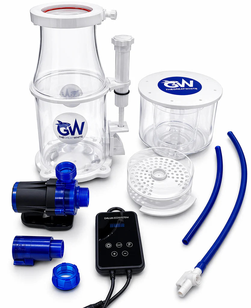 Great White DC Protein Skimmer