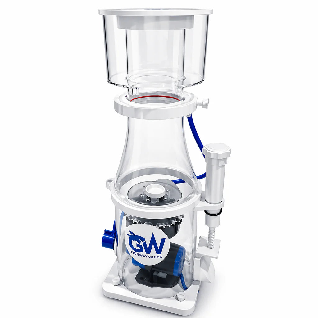 Great White DC Protein Skimmer